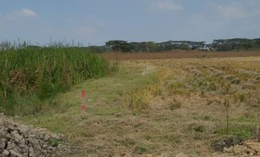 Terreno de Venta en el Nuevo Samborondón