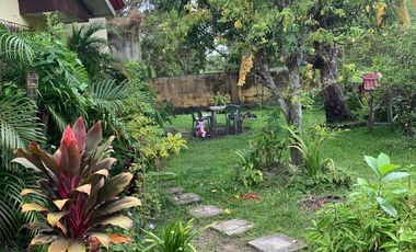 HOUSE AND LOT FOR SALE IN DUMAGUETE CITY ID 14783
