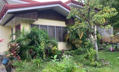 HOUSE AND LOT FOR SALE IN DUMAGUETE CITY ID 14783