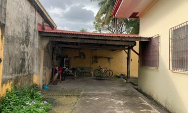 HOUSE AND LOT FOR SALE IN DUMAGUETE CITY ID 14783