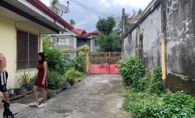 HOUSE AND LOT FOR SALE IN DUMAGUETE CITY ID 14783