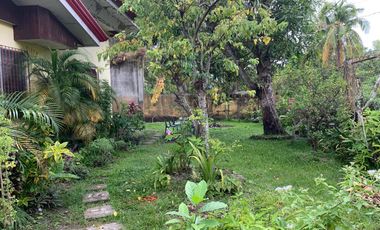 HOUSE AND LOT FOR SALE IN DUMAGUETE CITY ID 14783