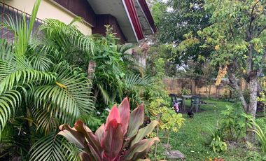 HOUSE AND LOT FOR SALE IN DUMAGUETE CITY ID 14783