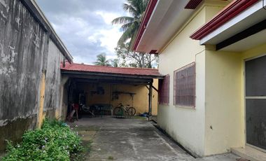 HOUSE AND LOT FOR SALE IN DUMAGUETE CITY ID 14783