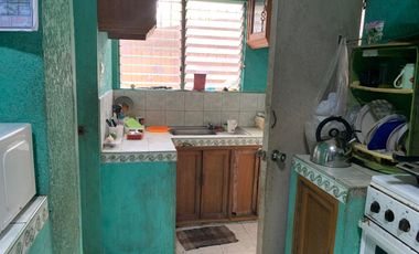 HOUSE AND LOT FOR SALE IN DUMAGUETE CITY ID 14783