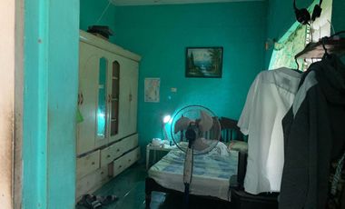 HOUSE AND LOT FOR SALE IN DUMAGUETE CITY ID 14783