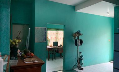 HOUSE AND LOT FOR SALE IN DUMAGUETE CITY ID 14783