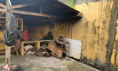 HOUSE AND LOT FOR SALE IN DUMAGUETE CITY ID 14783