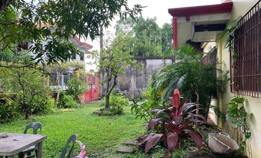 HOUSE AND LOT FOR SALE IN DUMAGUETE CITY ID 14783
