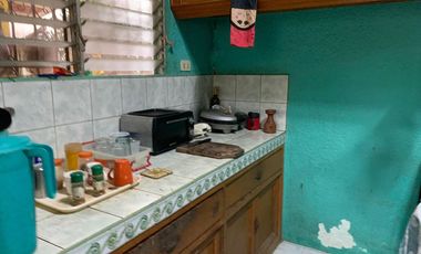 HOUSE AND LOT FOR SALE IN DUMAGUETE CITY ID 14783