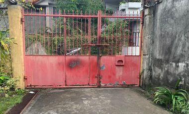 HOUSE AND LOT FOR SALE IN DUMAGUETE CITY ID 14783