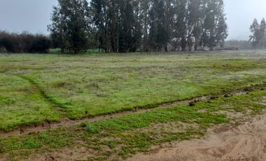 Parcelas en Pumanque, V 1403-24-LR-07.22