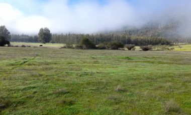 Parcelas en Pumanque, V 1403-24-LR-07.22