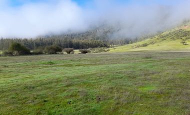 Parcelas en Pumanque, V 1403-24-LR-07.22