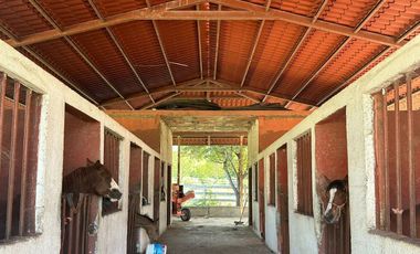 VENTA RANCHO GANADERO EN MONTEMORELOS EL FRAILE