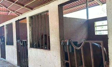 VENTA RANCHO GANADERO EN MONTEMORELOS EL FRAILE