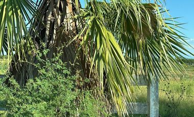 VENTA RANCHO GANADERO EN MONTEMORELOS EL FRAILE