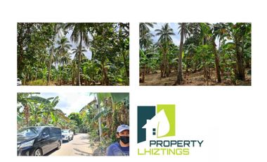 FARM LOT ALONG BARANGAY ROAD IN GEN. EMILIO AGUINALDO (BAILEN) FOR SALE