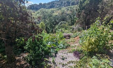 CASA EN FRACCIONAMIENTO PRIVADO CUERNAVACA