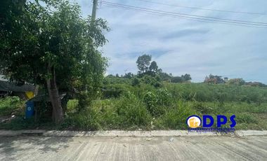 200sqm Residential Lot for Sale in Montclair Highlands Buhangin by Robinsons Homes
