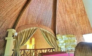 Leisure Farms, Fully-Furnished House and Lot for Sale in Lemery, Batangas