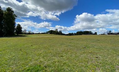 Z O N A S U R . C L Venta de parcela Villarrica km 11 Villarrica a Loncoche