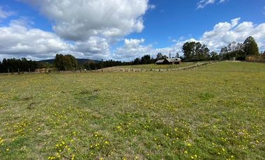 Z O N A S U R . C L Venta de parcela Villarrica km 11 Villarrica a Loncoche