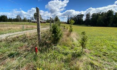 Z O N A S U R . C L Venta de parcela Villarrica km 11 Villarrica a Loncoche