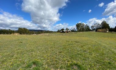 Z O N A S U R . C L Venta de parcela Villarrica km 11 Villarrica a Loncoche