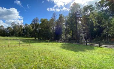 Z O N A S U R . C L Venta de parcela Villarrica km 11 Villarrica a Loncoche