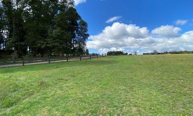 Z O N A S U R . C L Venta de parcela Villarrica km 11 Villarrica a Loncoche