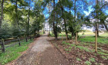 Z O N A S U R . C L Venta de parcela Villarrica km 11 Villarrica a Loncoche