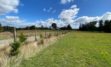 Z O N A S U R . C L Venta de parcela Villarrica km 11 Villarrica a Loncoche