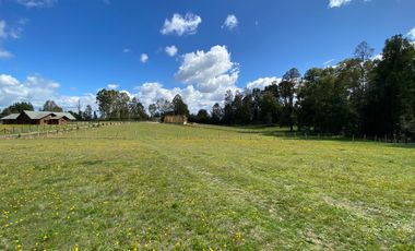 Z O N A S U R . C L Venta de parcela Villarrica km 11 Villarrica a Loncoche