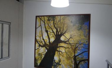 VENPERMUTO BODEGA  CON OFICINAS BARRIO SAN MIGUEL