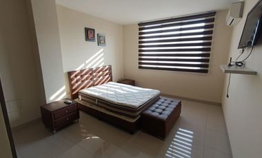 Isla Mocoli, Alquiler de Dpto de 3 Dorm. Amoblado con Gran Vista