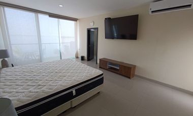 Isla Mocoli, Alquiler de Dpto de 3 Dorm. Amoblado con Gran Vista