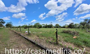 LOTE EN CUMARAL
