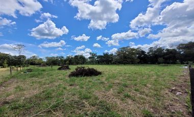 LOTE EN CUMARAL