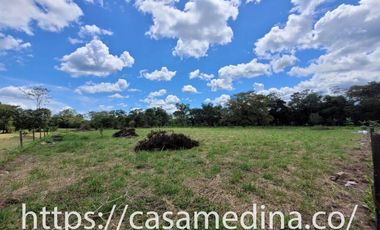 LOTE EN CUMARAL