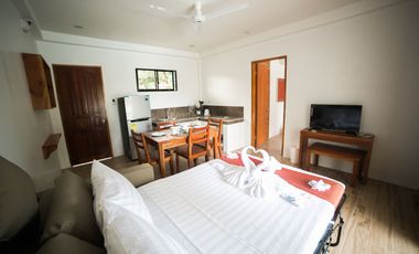 20 Fully furnished Residences in Bolod, Panglao for Sale