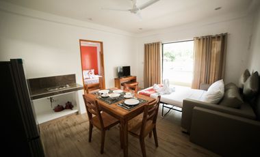 20 Fully furnished Residences in Bolod, Panglao for Sale