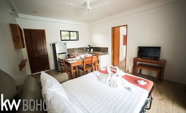 20 Fully furnished Residences in Bolod, Panglao for Sale