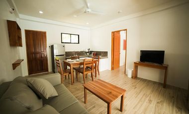 20 Fully furnished Residences in Bolod, Panglao for Sale