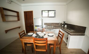 20 Fully furnished Residences in Bolod, Panglao for Sale