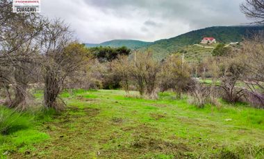 GRAN OPORTUNIDAD DE PARCELA PLANA EN LA RESERVA DE CUYUNCAVI.