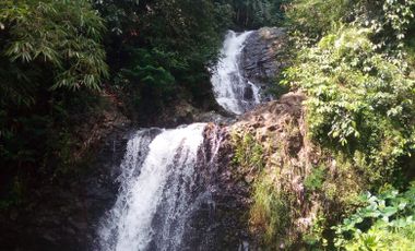 15 Ha Tanah Sawah, Bukit Batu, Mata Air Panas & Air Terjun Potensi Wisata, Subang.