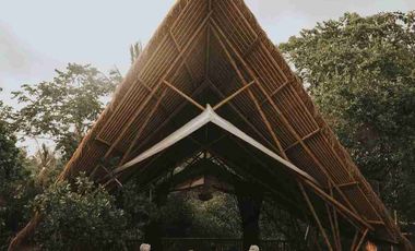 Eco Resort with River and Jungle Views in Bali