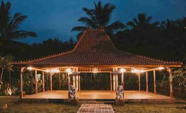 Eco Resort with River and Jungle Views in Bali