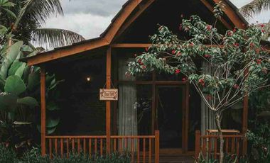 Eco Resort with River and Jungle Views in Bali